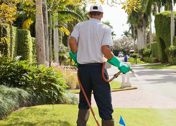 About Mt Zion IL Pest Control